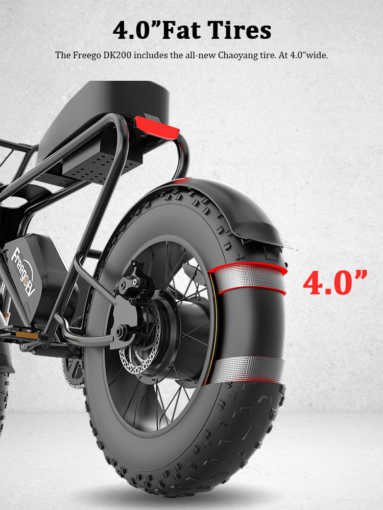 FREEGO/DK200 1200W Electric Bike 20X4" Fat Tire 48V/20Ah Removable Battery