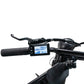 FREEGO/DK200 1200W Electric Bike 20X4" Fat Tire 48V/20Ah Removable Battery