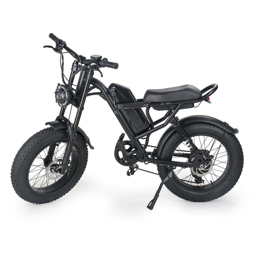 E-Bike 500W 48V Pedal Assist Electric Bike Off Road 20X4" Fat Tire All Terrain Electric Bicycle